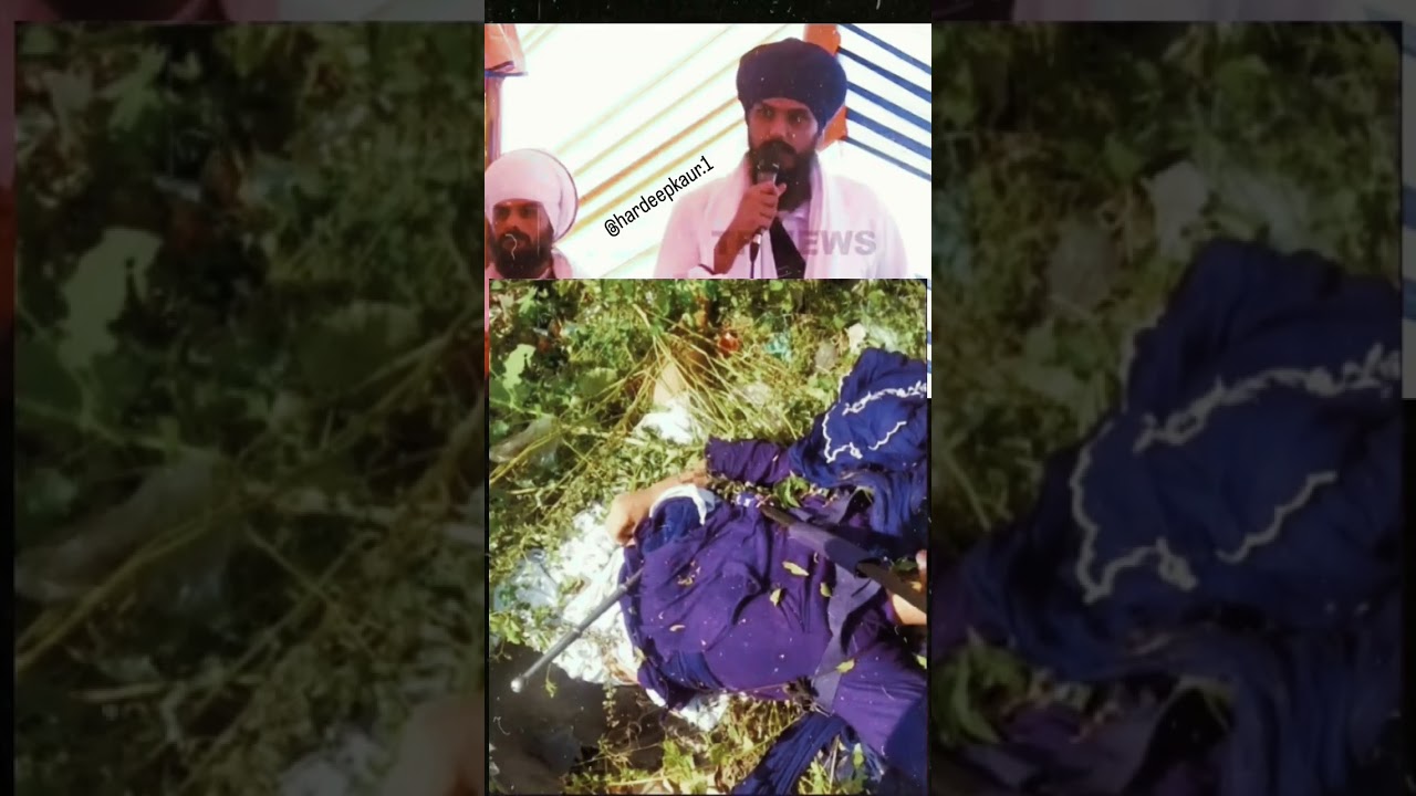 Who Killed Nihang Veer Manmeet Singh #shorts #amritpalsingh Pls Subscribe