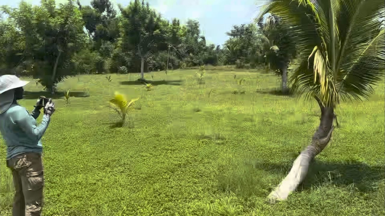 A Day in the Life of an Agricultural Advisory Officer | Visiting Farmers in Jamaica