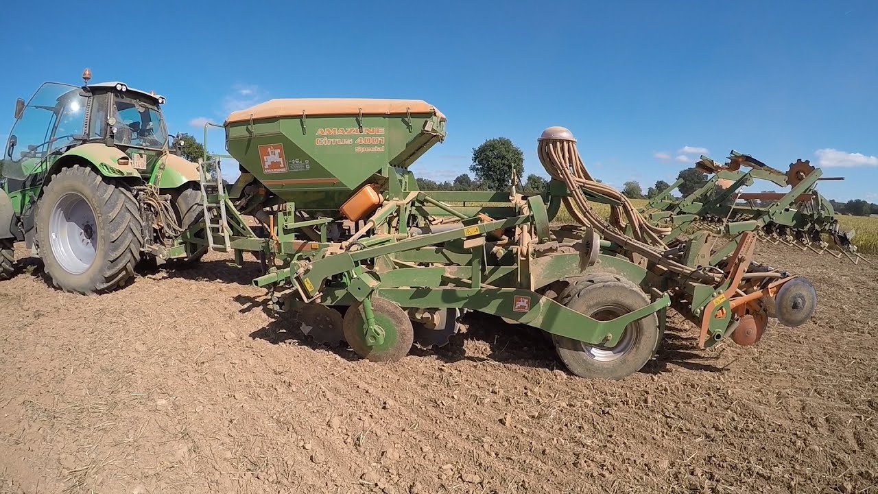 Semis de colza