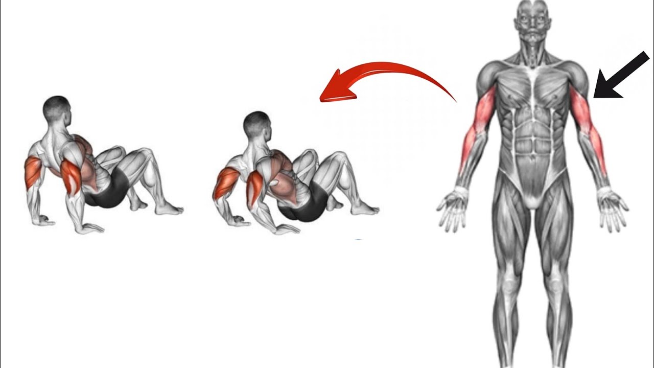 latihan otot lengan tanpa alat dirumah