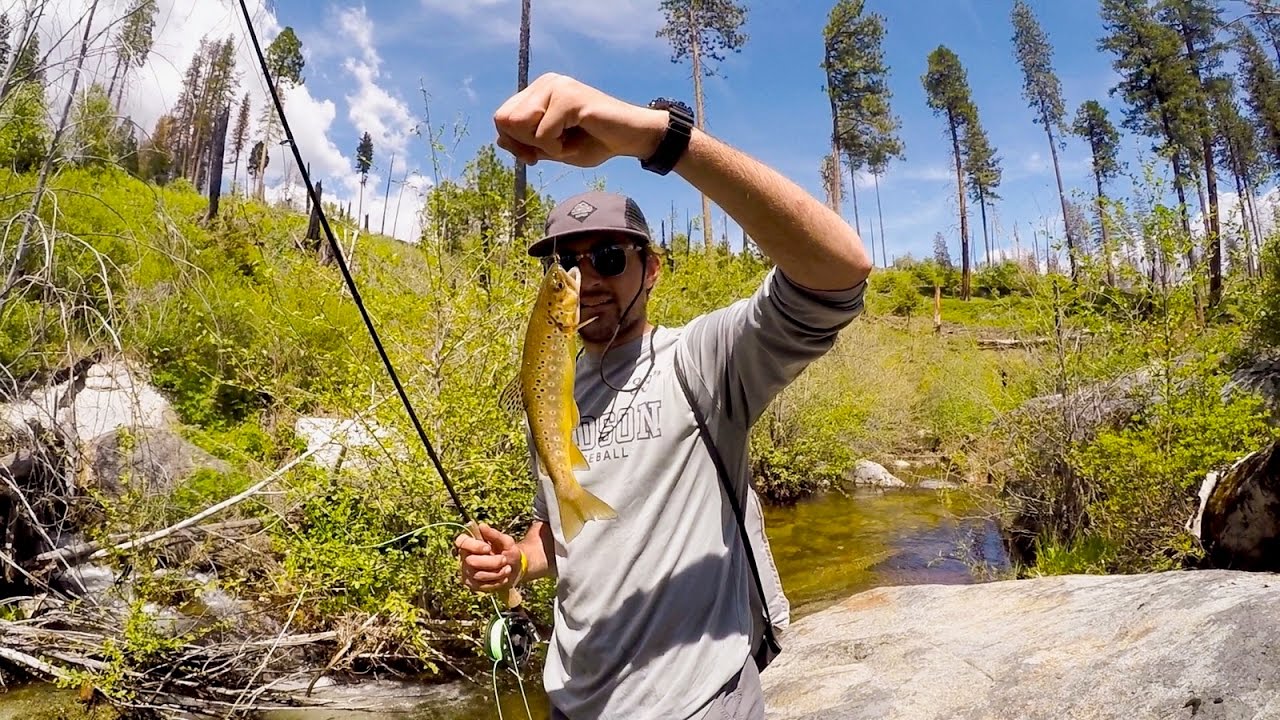 West Coast Road Trip Day 15: Epic Yosemite Fly Fishing!