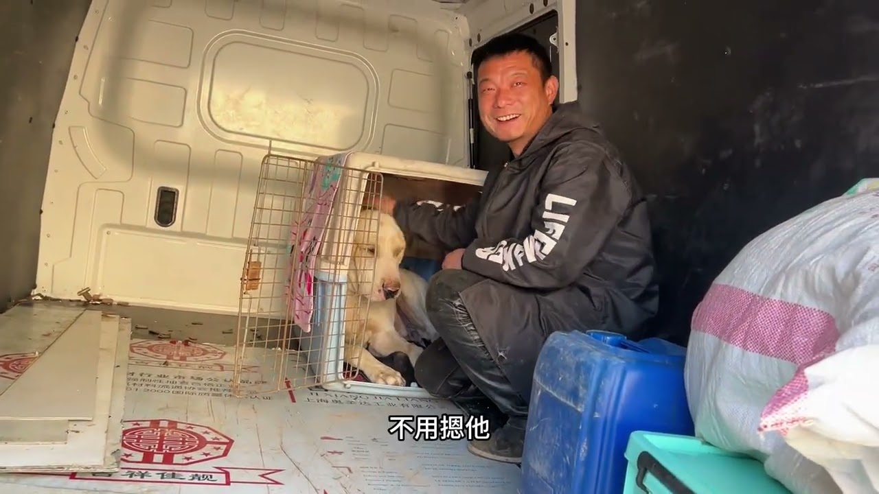 出发传承杯比赛，期待（幽灵）（大傻）斗栏表现，小家伙状态满满，@沉默猛犬小号（溜狗） 这号直播发视频，#加纳利幽灵 #库达大傻 #现场直击 #年度盛典 #沉默猛犬