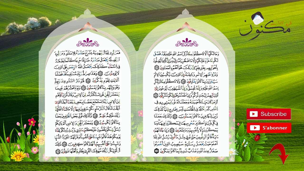 سورة الأنعام حفظ بالتكرار بصوت الشيخ ماهر المعيقلي من الآية 125 إلى الآية 127
