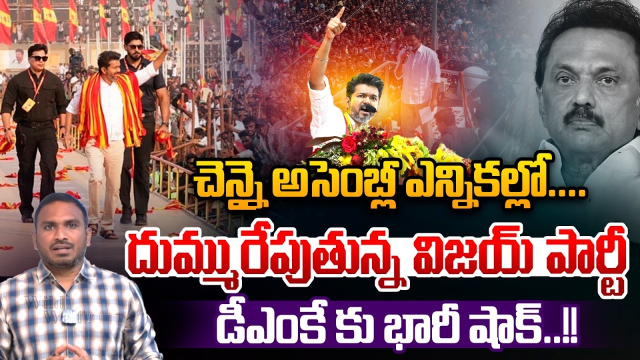 Vijay Thalapathy Chennai Election Report : దుమ్మురేపుతున్న విజయ్ పార్టీ.. డీఎంకే కు భారీ షాక్ | WWT