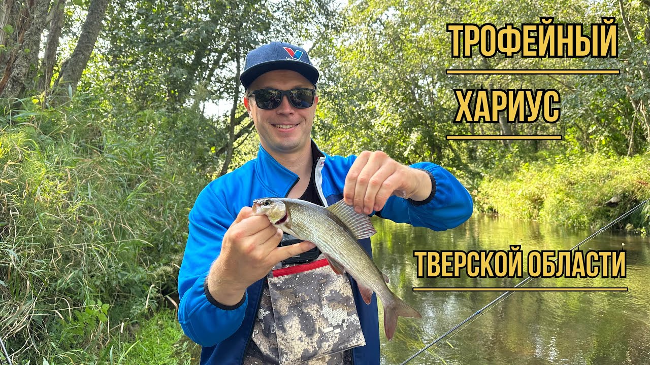 Трофейный #ХАРИУС Тверской области найден!