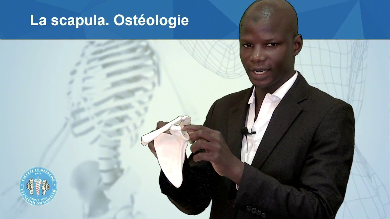 Ostéologie: la scapula (omoplate)  décrite par le Dr Kante