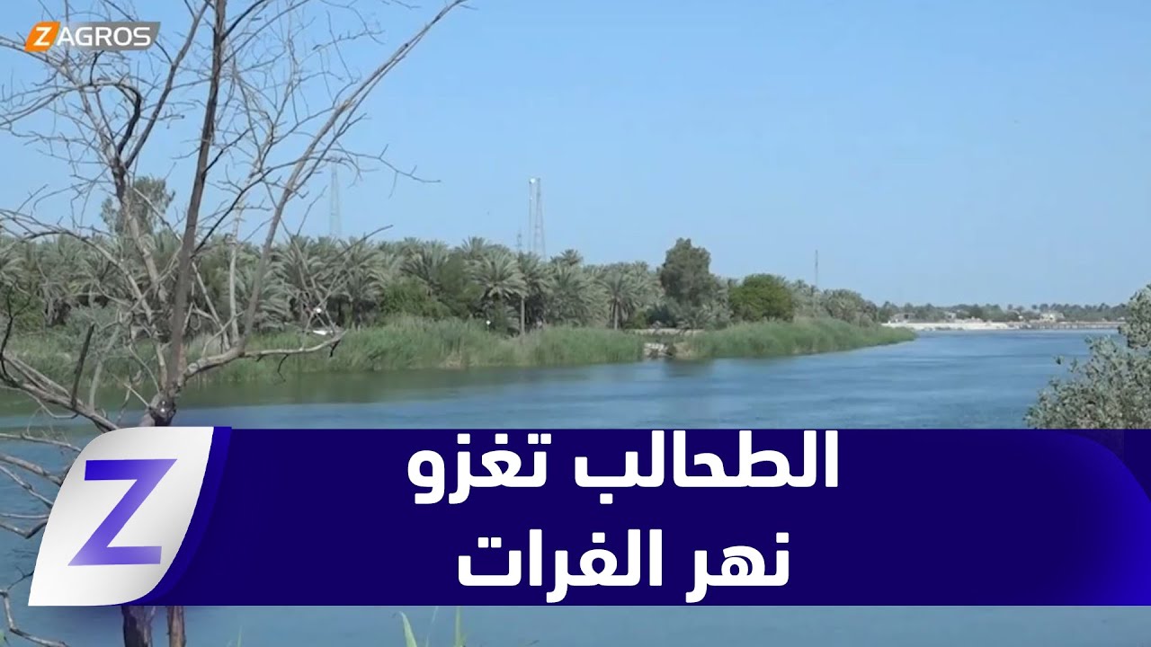 النجف.. أزمة مياه نهر الفرات تتصاعد والطحالب تغزو مجراه والقلق الشعبي يتزايد
