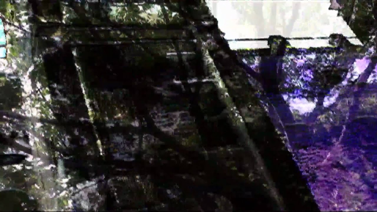 silence / broken little sister