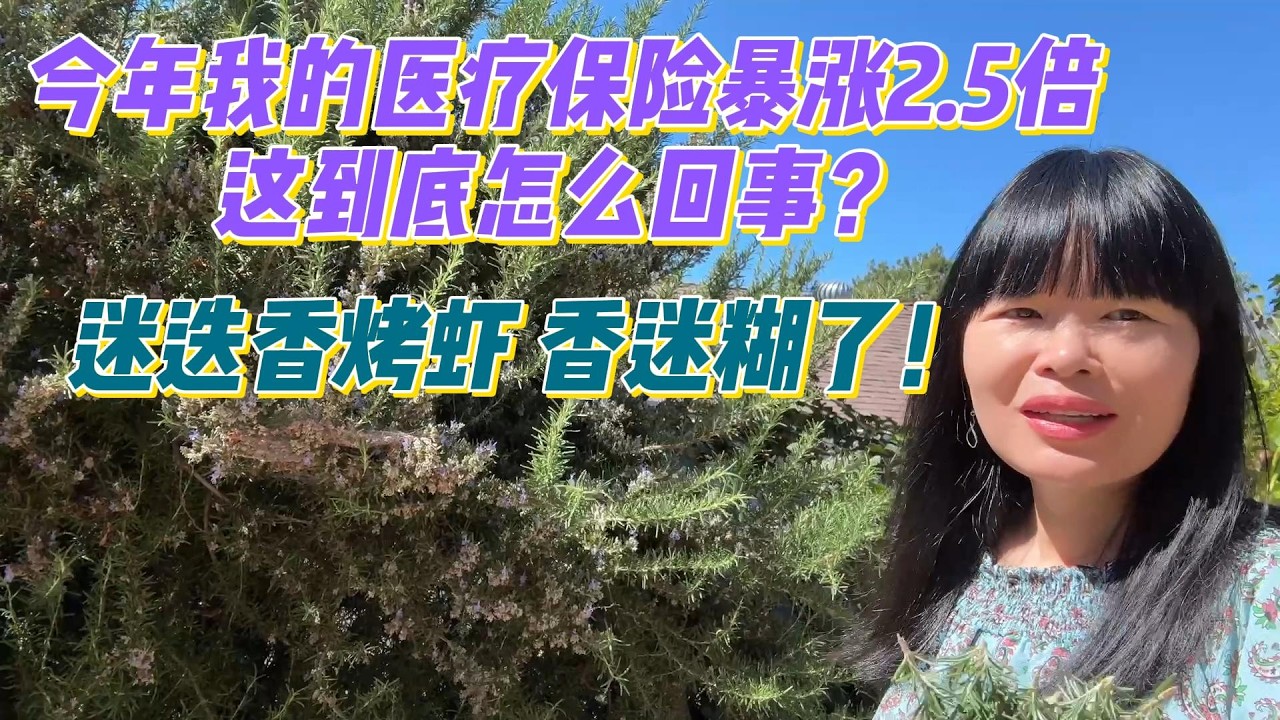 2026年我的医疗保险爆涨到2.5倍，到底怎么回事？用自家种的迷迭香烤虾，简直香迷糊了！