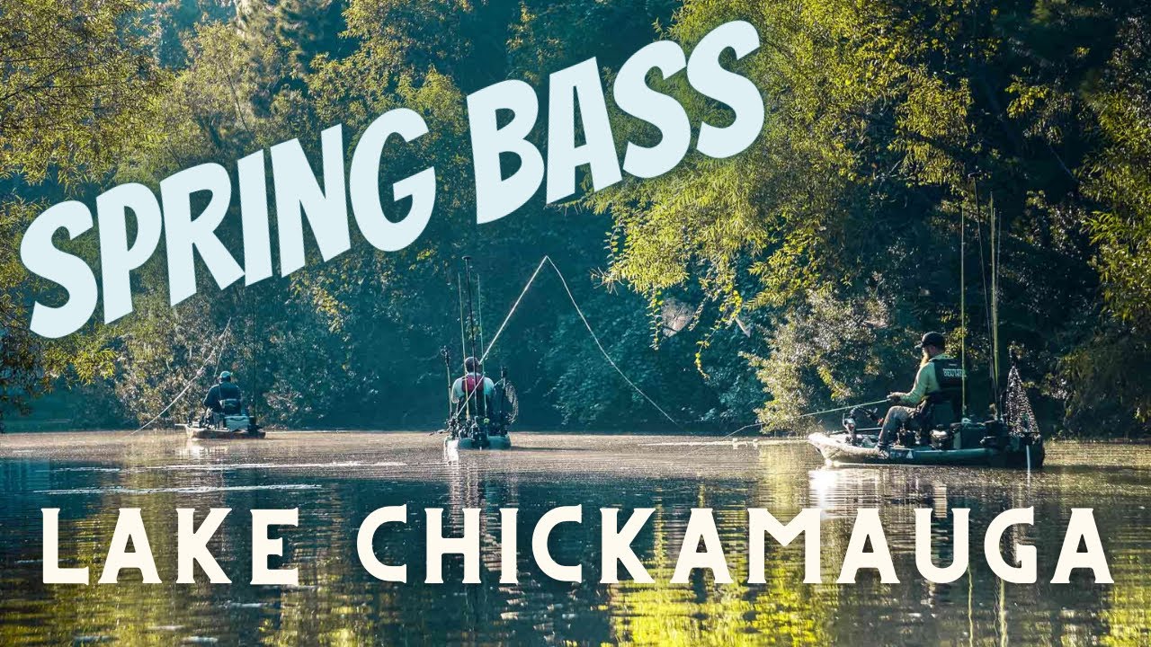 Bass Fishing Lake Chickamauga In The Spring | David Mullins