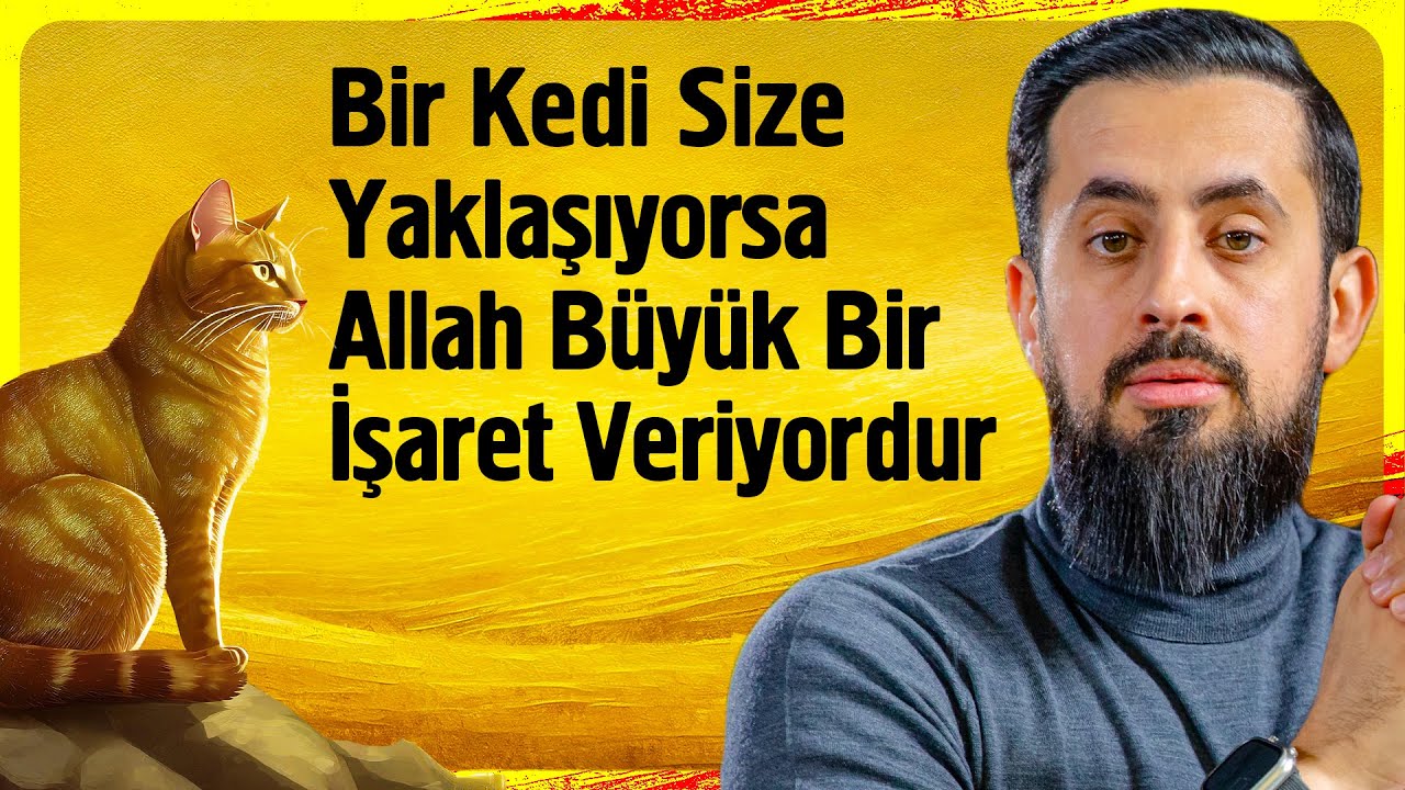 Bir Kedi Size Yaklaşıyorsa Allah Büyük Bir İşaret Veriyordur - Kelb @Mehmet Yıldız