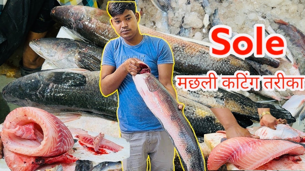 Sole fish boneless Isole fish Isole fish cutting |Is sole fish tasty?|what is another name for solel