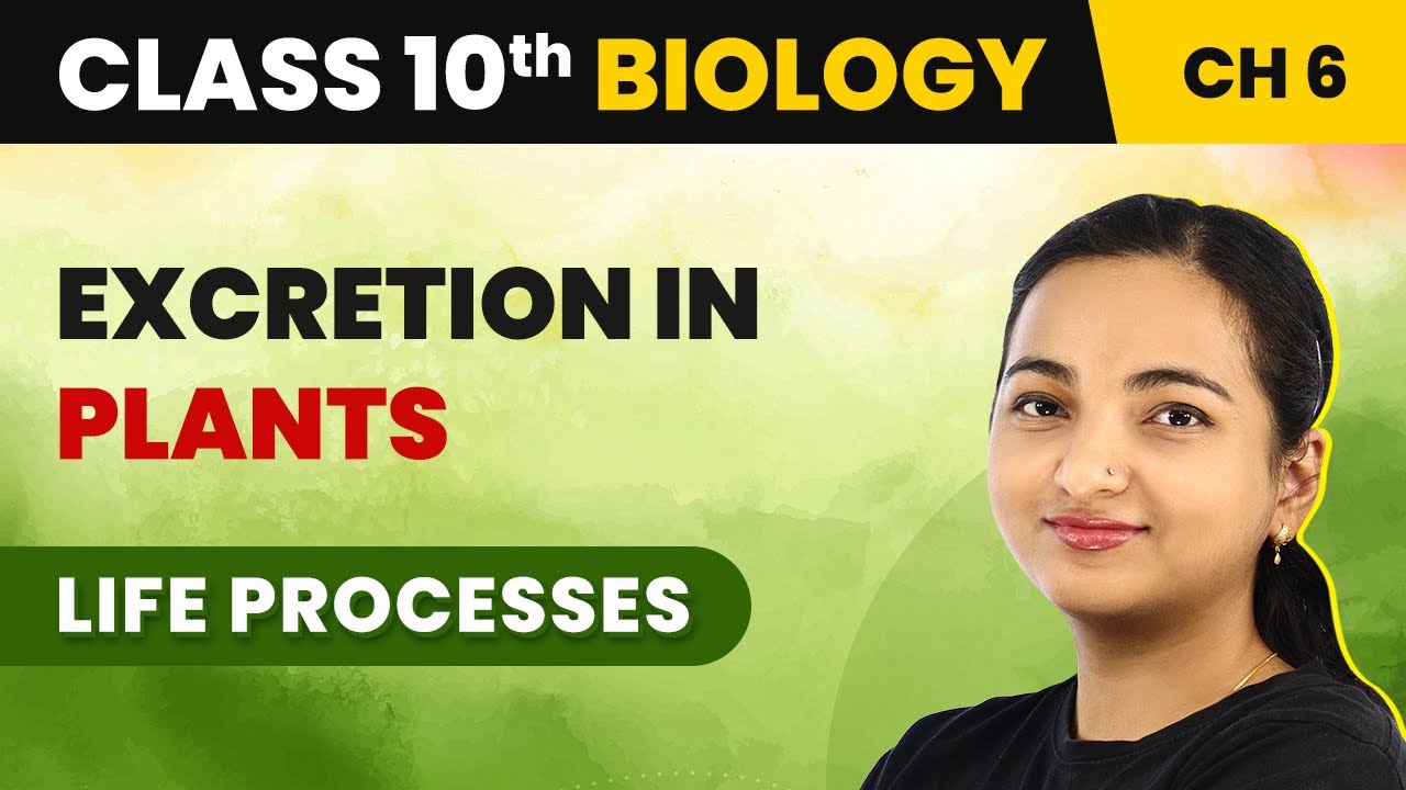 Class 10 Biology Chapter 6 | Excretion in Plants - Life Processes