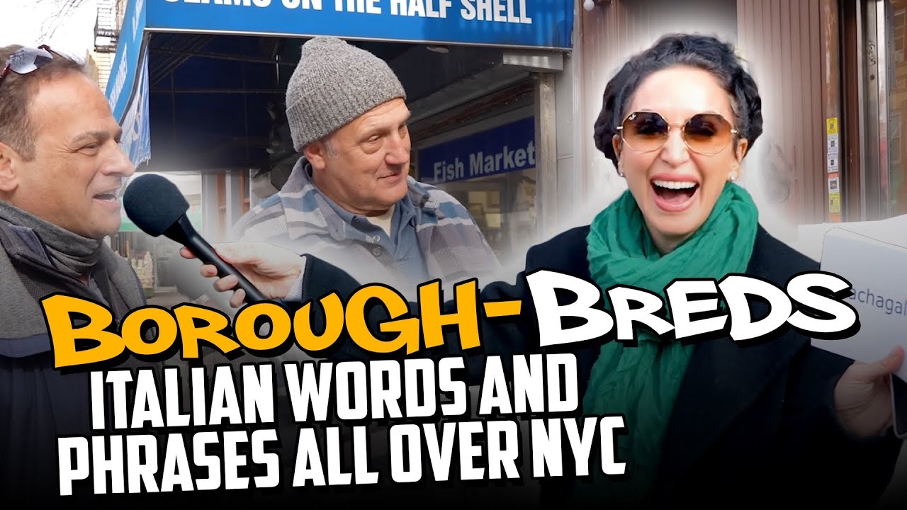 Italian Words and Phrases all over NYC - Boroughbreds ep 10 | Tara Cannistraci AKA Tara Jokes