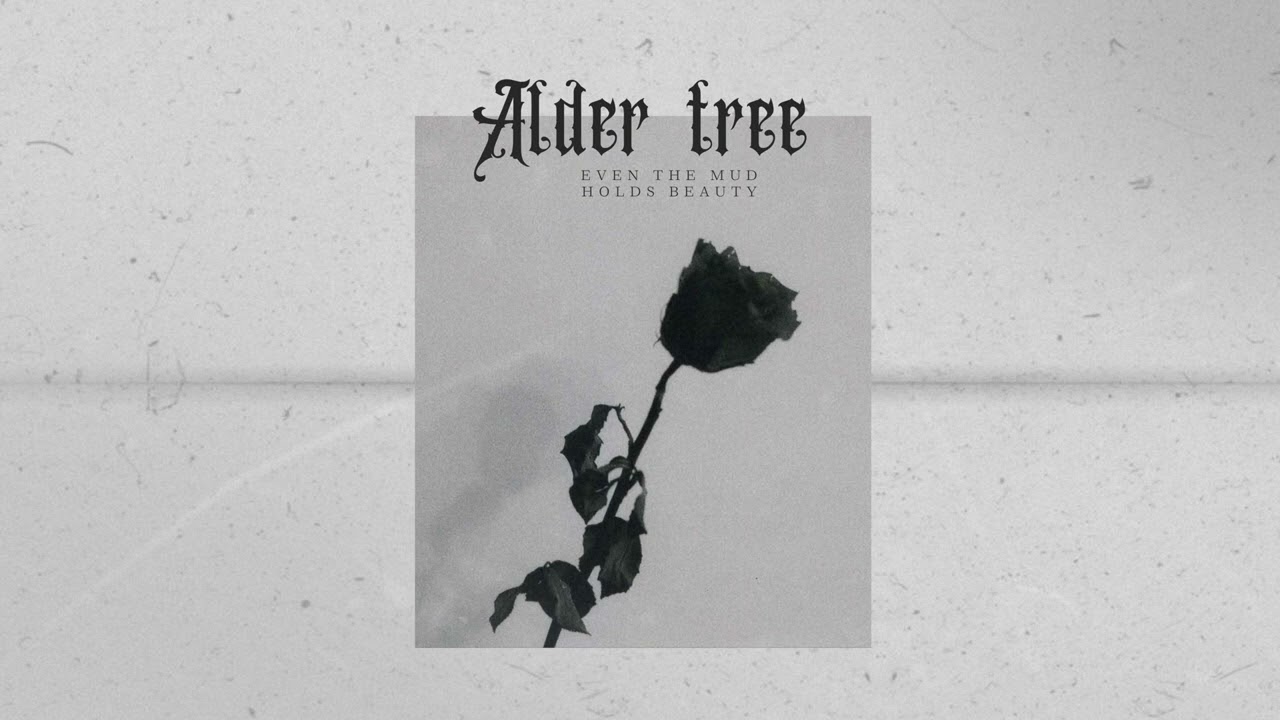Alder Tree - Even the Mud Holds Beauty (2025) Full EP