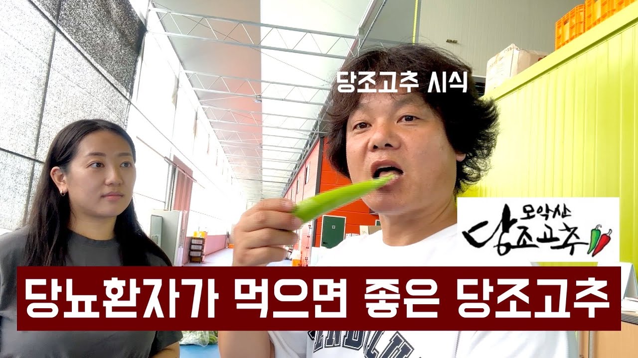 당뇨에 좋은 모악산 당조고추