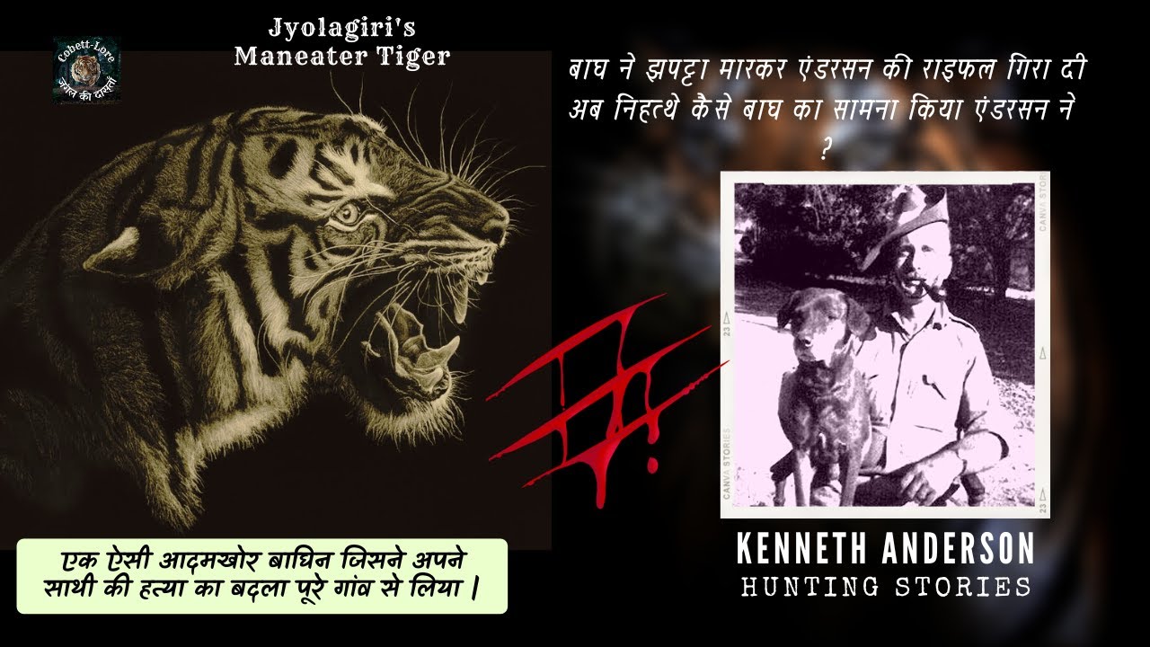 बाघ के वार से राइफल जमीन पर गिर पड़ी, अब निहत्थे एंडरसन ने कैसे सामना किया | Kenneth Anderson Story