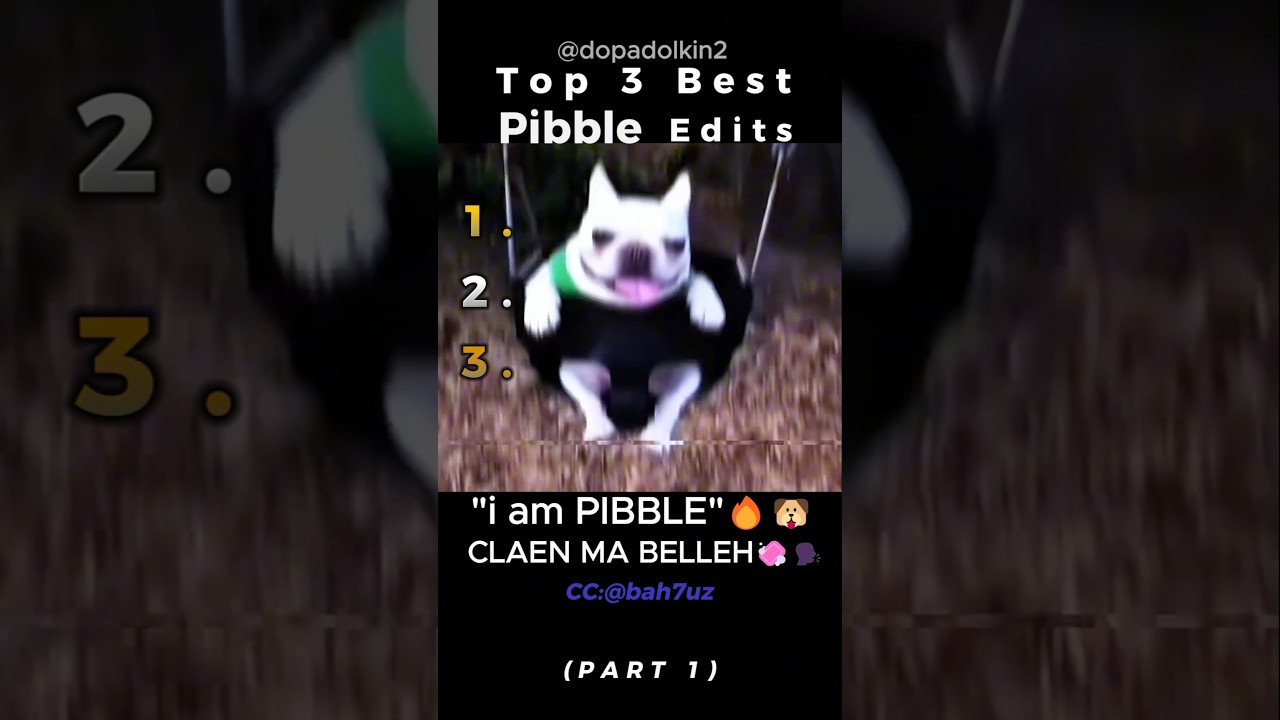Ranking the Best Pibble Edits