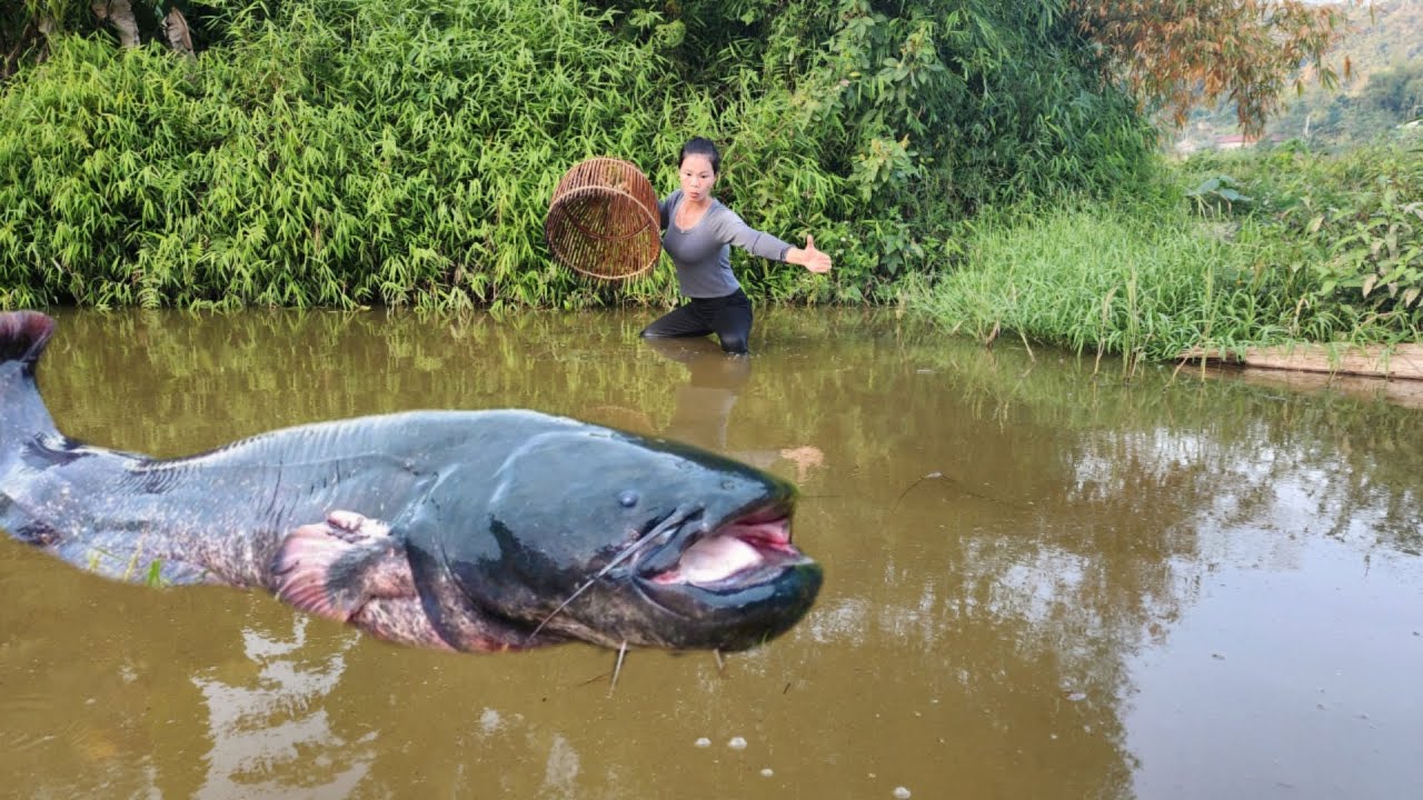Discovering there was a big fish, the girl immediately used a bamboo basket to catch the fish.