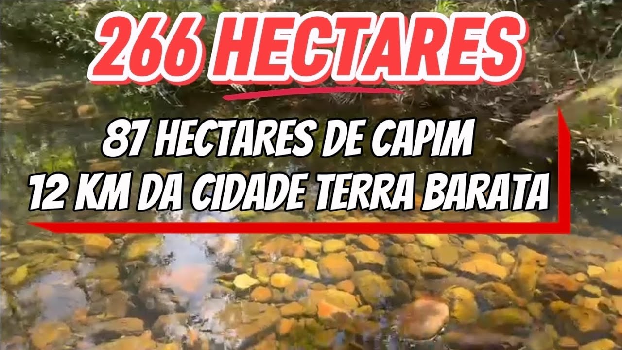 FAZENDA À VENDA EM TOCANTINS | 266 HECTARES | CAPITAL DO BOI GORDO – ARAGUAÍNA