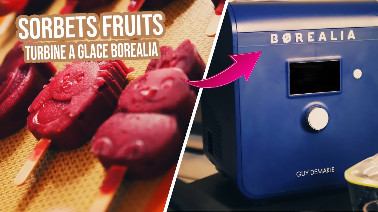 TURBINE A GLACE BOREALIA, je prépare des sorbets aux fruits animaux @Guy-Demarle