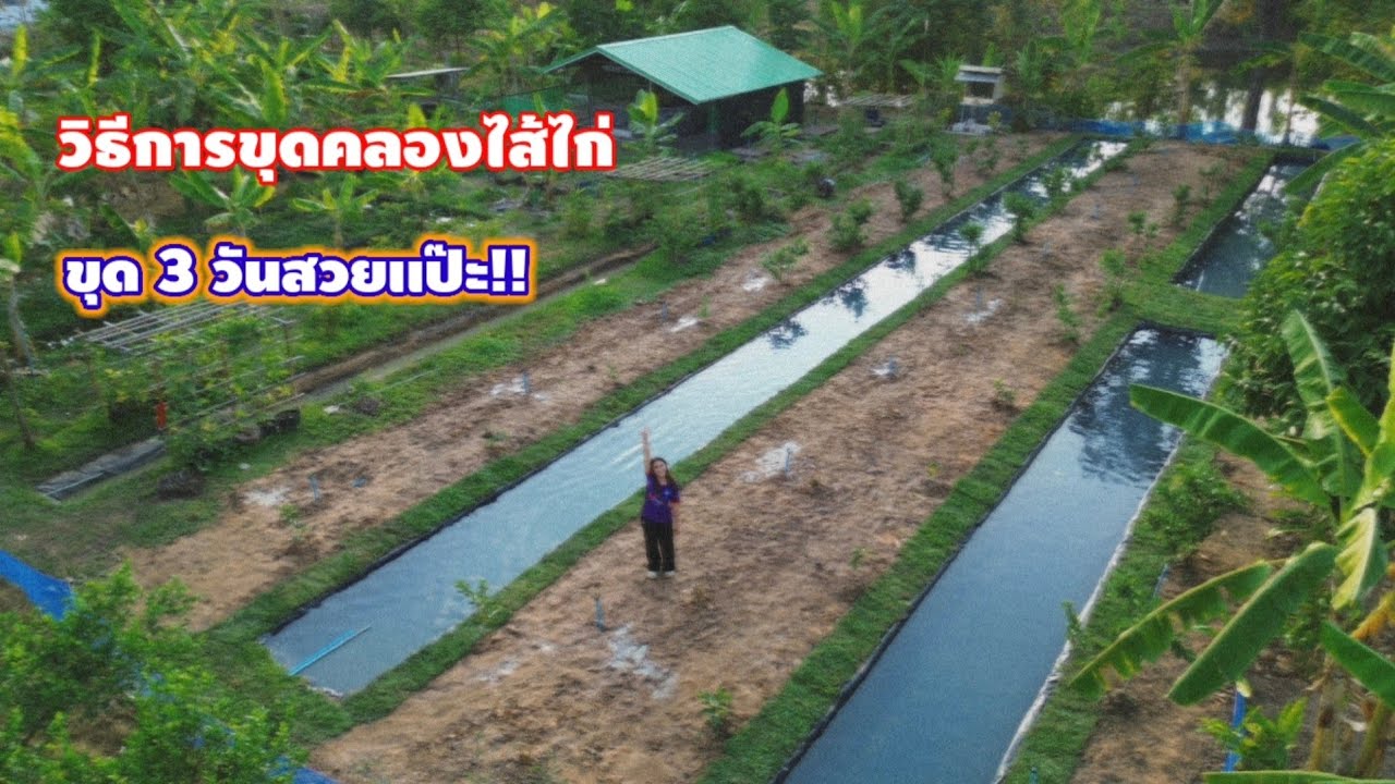 ขุดคลองด้วยมือ 3 วันได้แบบนี้!! สวยเว่อมาก!! กว่าได้เป็นคลองไส้ไก่สวยขนาดนี้ ต้องทำอย่างไรบ้าง??
