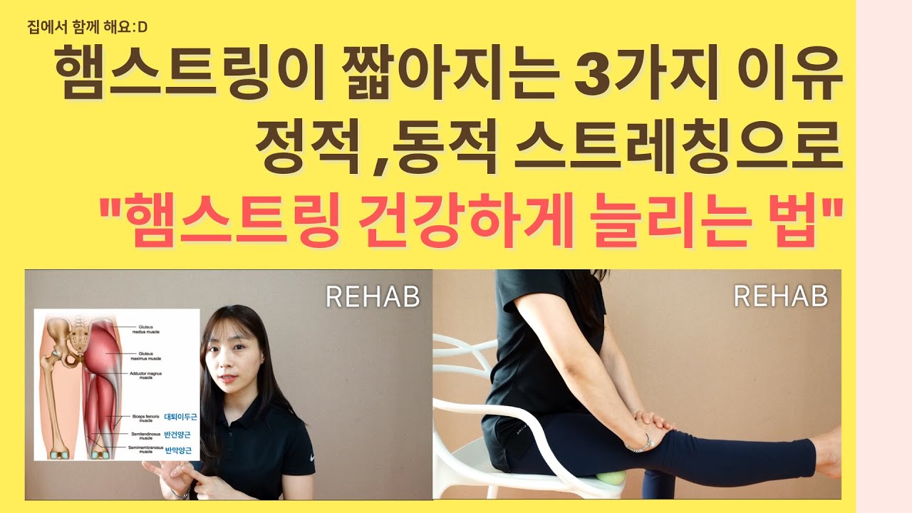햄스트링이 짧아지는 이유 햄스트링 늘리기,햄스트링 통증,햄스트링 부상,햄스트링유연성 늘리기,리햅