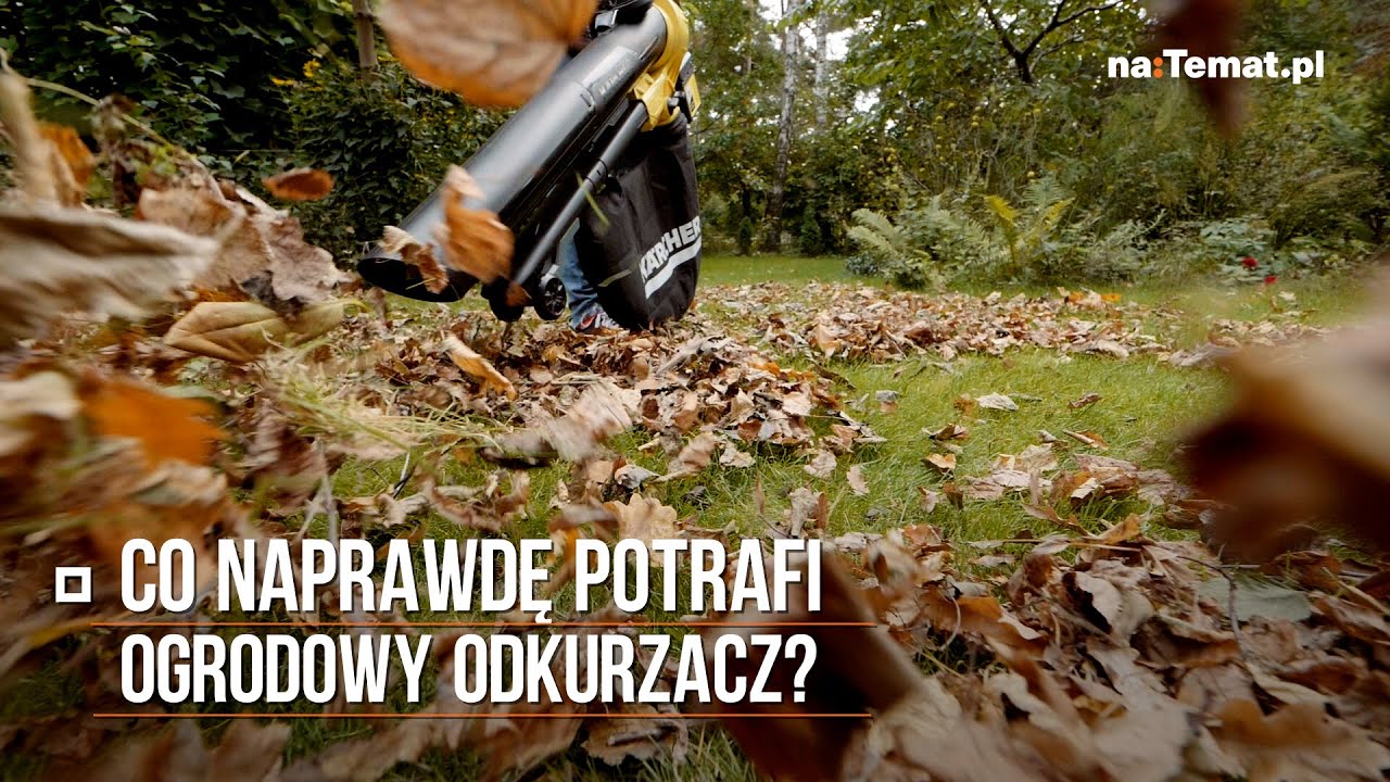 Co naprawdę potrafi ogrodowy odkurzacz?