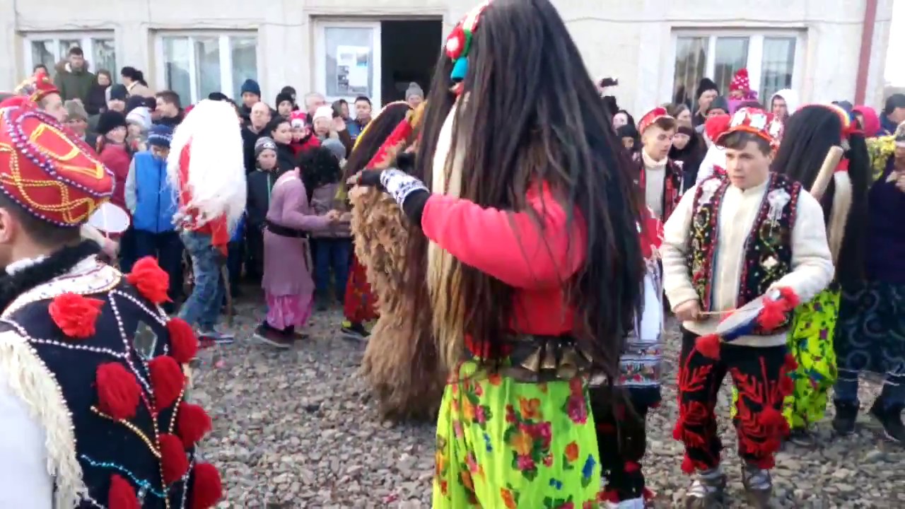 Ursul de la Ceplenita 2016-2017