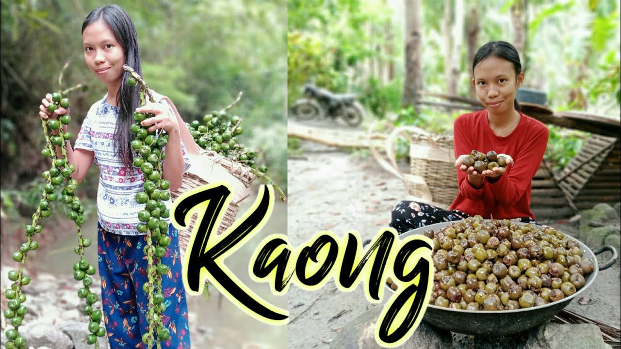 Kaong in your Halo-halo? It's the Black Sugar Palm Fruit