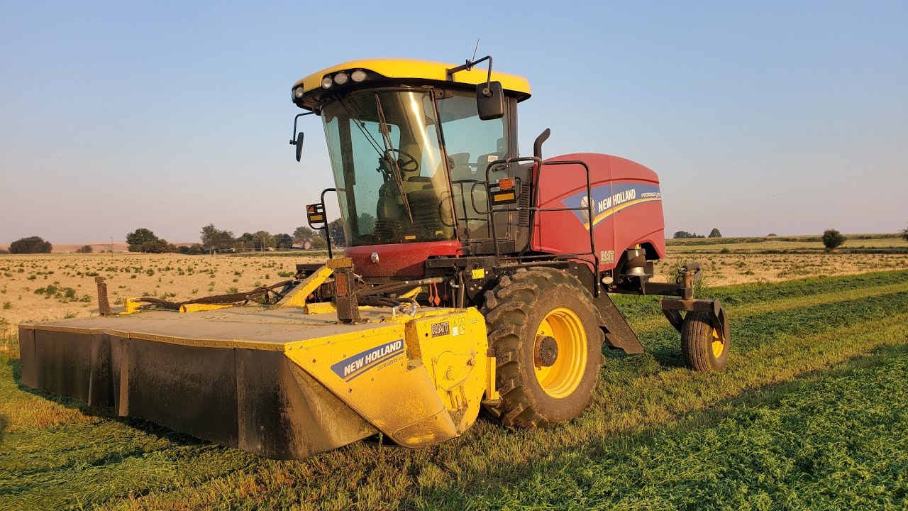 Swathing (cutting) hay with a New Holland 220 Speedrower.