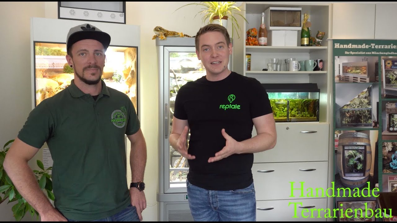 Handmade Terrarienbau - Wie baue ich ein Terrarium?