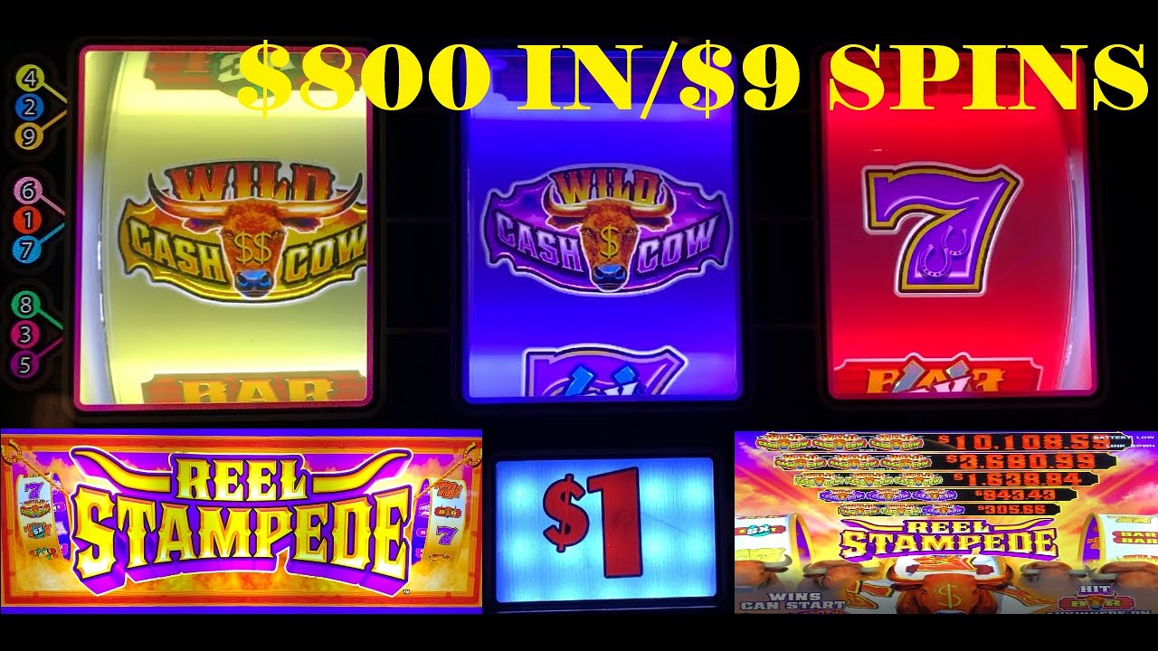 HIGH LIMIT CASINO SLOTS: NEW!!! REEL STAMPEDE SLOT PLAY! 9 LINE 3 REEL PROGRESSIVE JACKPOT SLOT! FUN