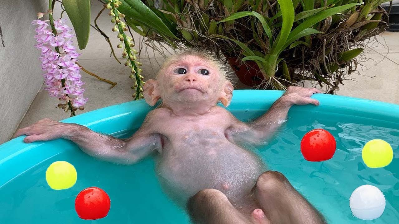 So Funny! Kiki experiences swimming in a large swimming pool!