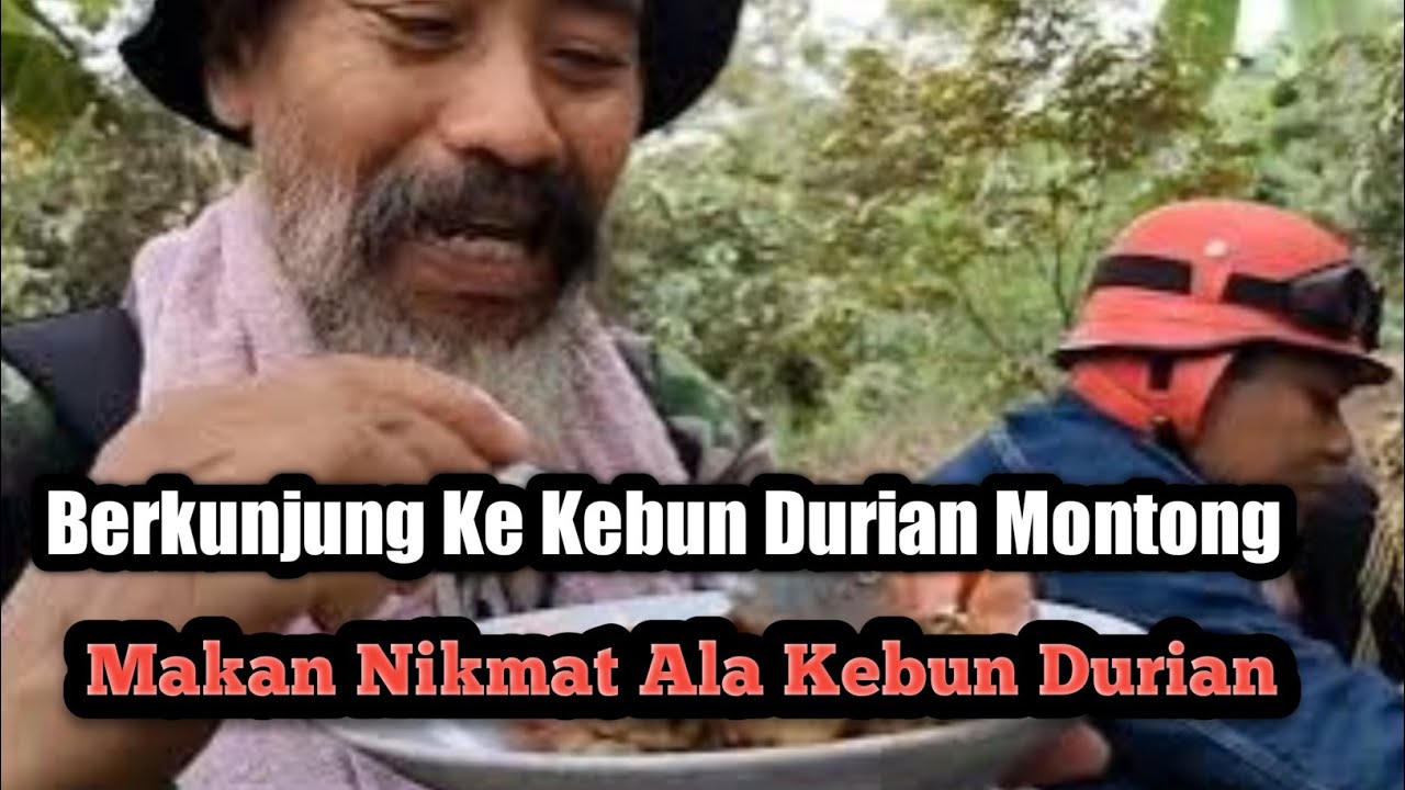 Makan Nikmat Ala Kebun Durian #durian #tedikurniatgm