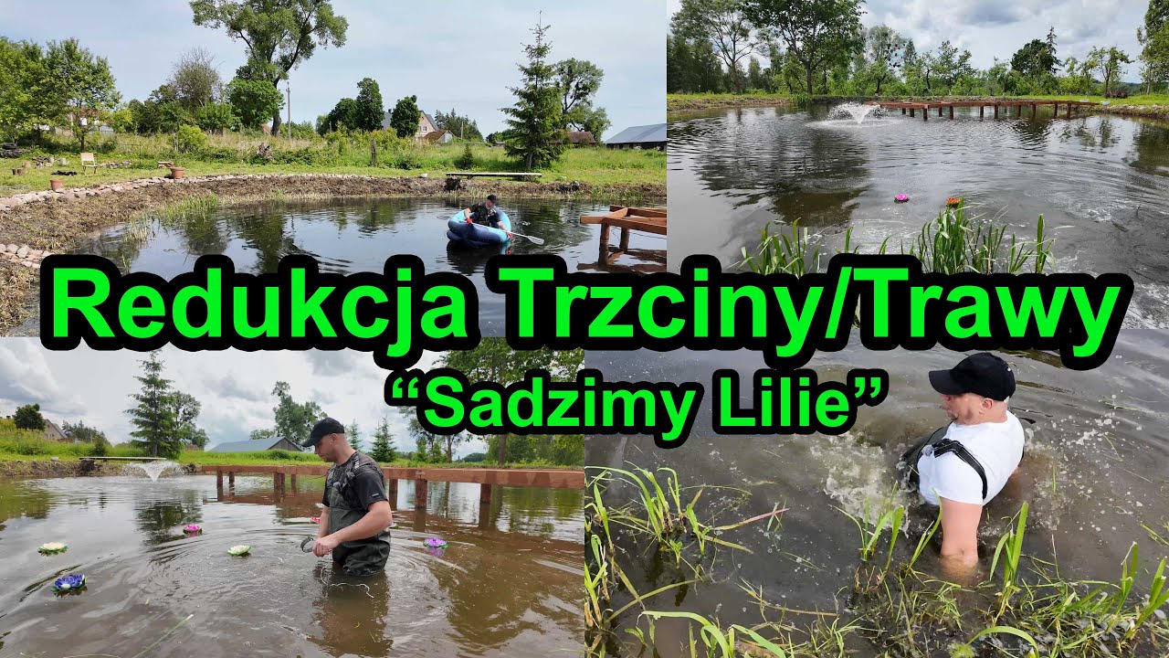 Czyszczenie Stawu 