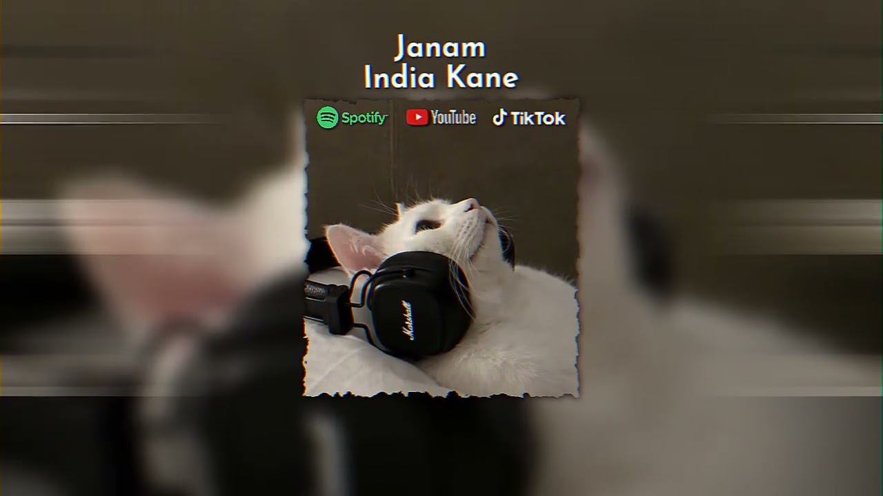DJ JANAM INDIA KANE REMIX TERBARU FULL BASS 2025 VIRAL TIKTOK
