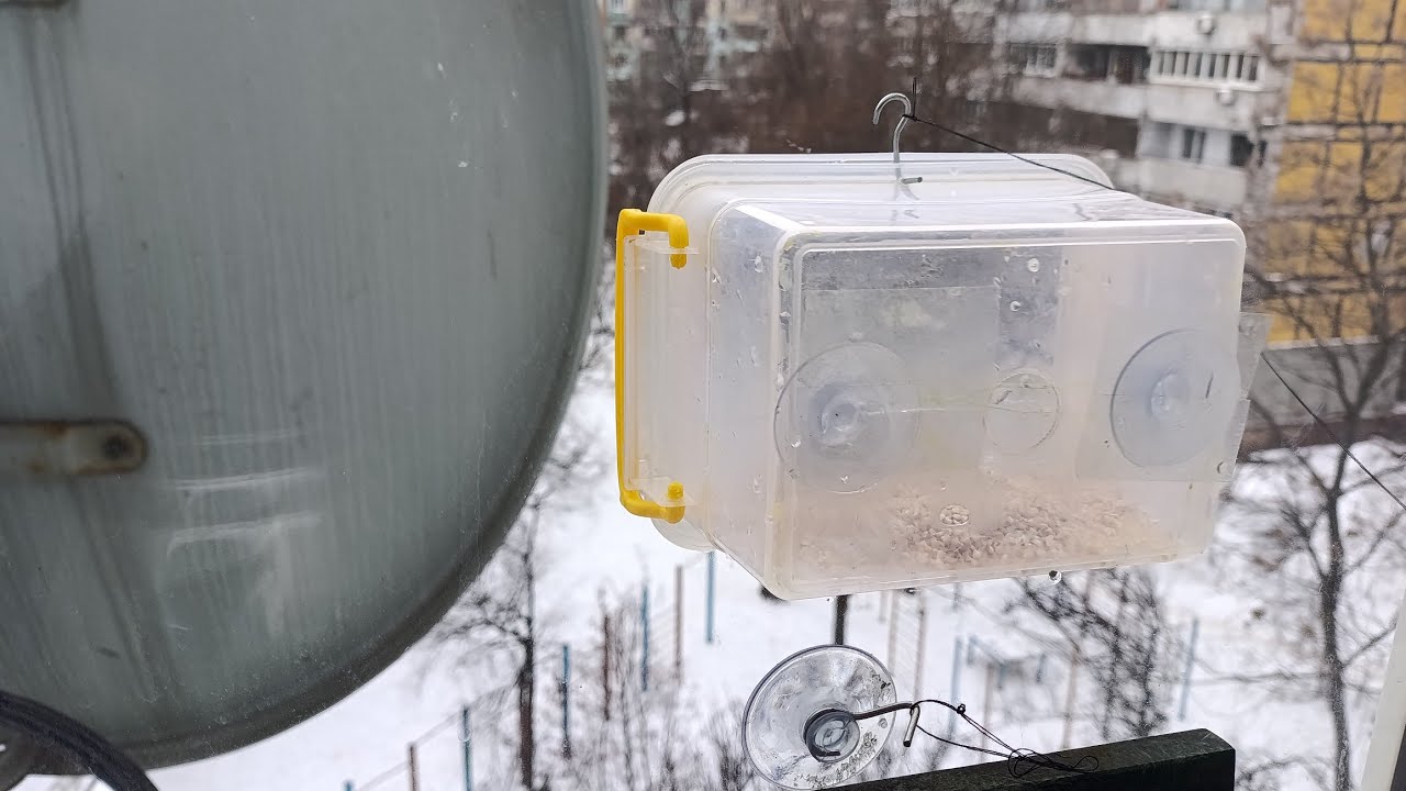 Простая кормушка для птичек🐦‍⬛🐦