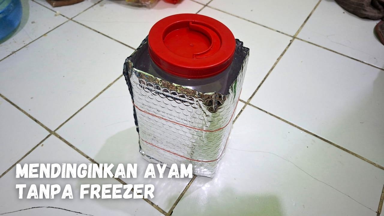 Cara Mendinginkan Ayam tanpa Freezer | DIY