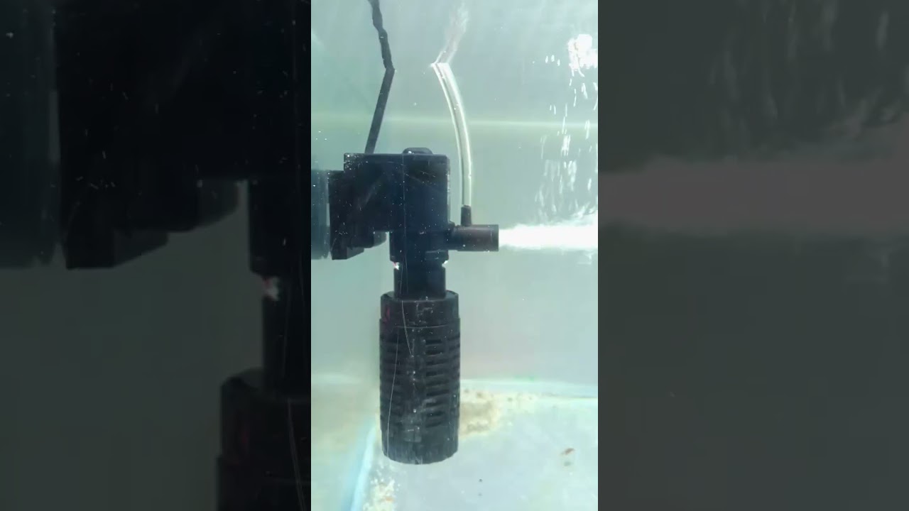 Internal Sobo Power Filter For Aquarium 😍😍#shots #viral #shortsfeed #fish #avixkaquatic #filter