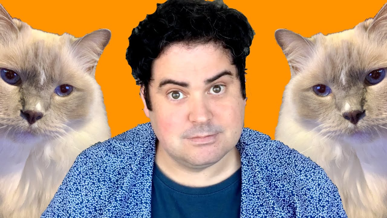5.5 Funny Jokes about Cats