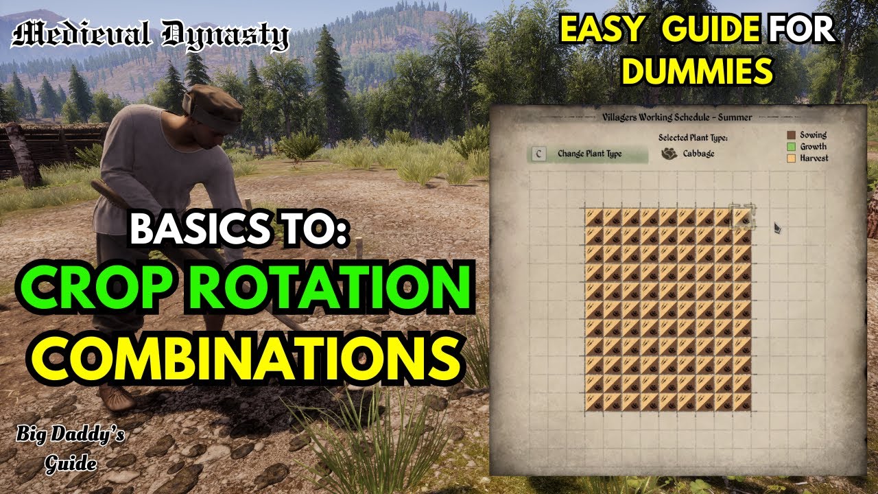 Medieval Dynasty Crop Rotation Guide: Best Combinations & Crop Basics!