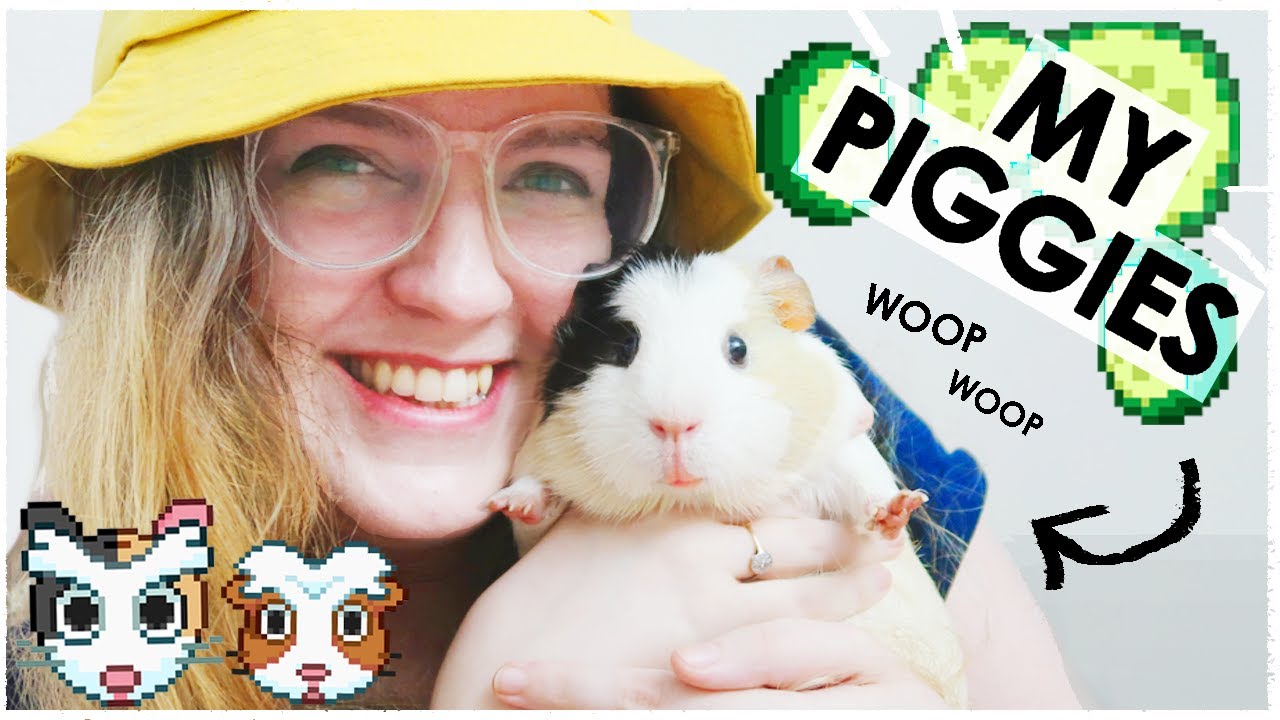 Meet my Guinea pigs!