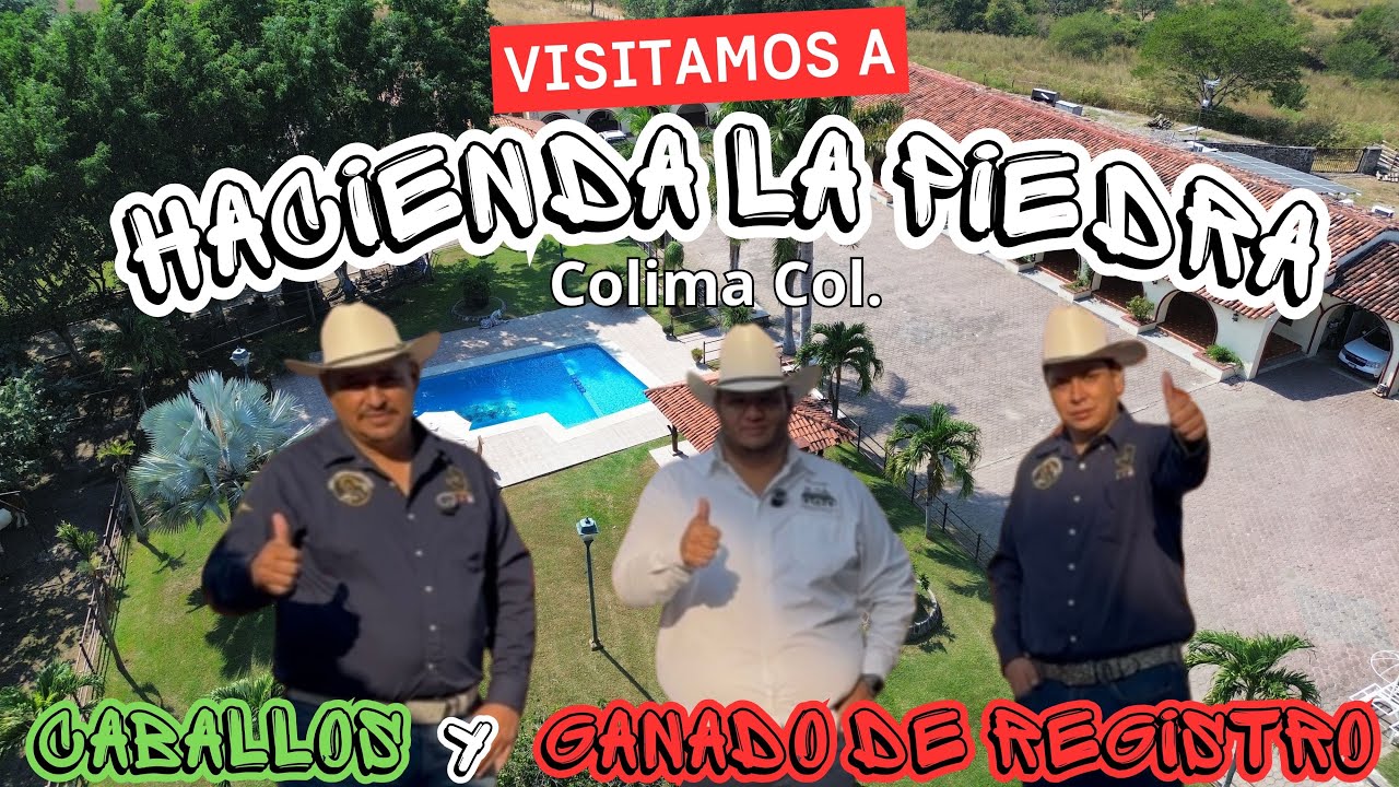 CONOCE A HACIENDA LA PIEDRA DE COLIMA, COL Y SUS CABALLOS DE BAILE 