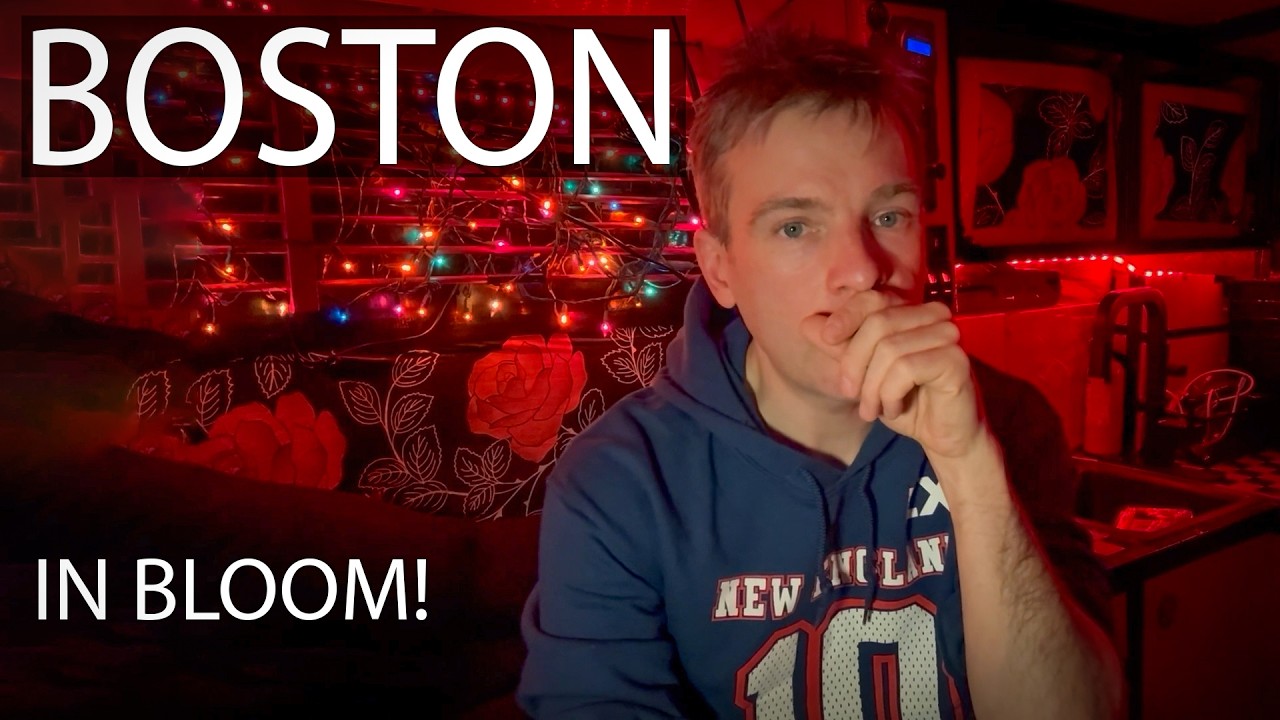 Van Dwelling & Social Time in the City