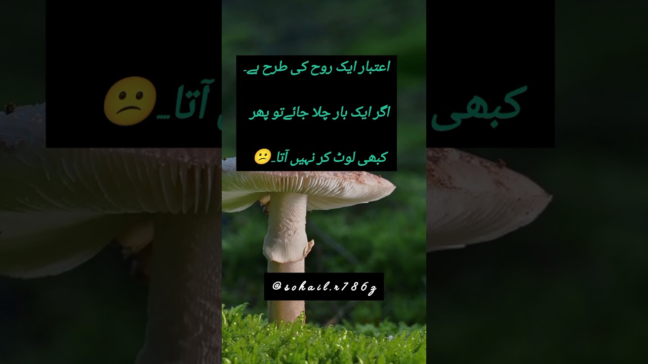 #sadpoetry #urdudeeplines 💯💯😕😕😕