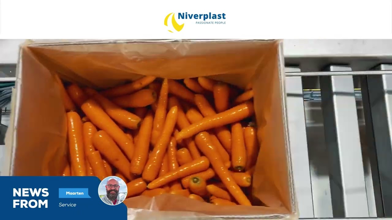 NIVERPLAST | SPEEDYFOLD & SPEEDYPLAST | CARROTS BAG-IN-BOX