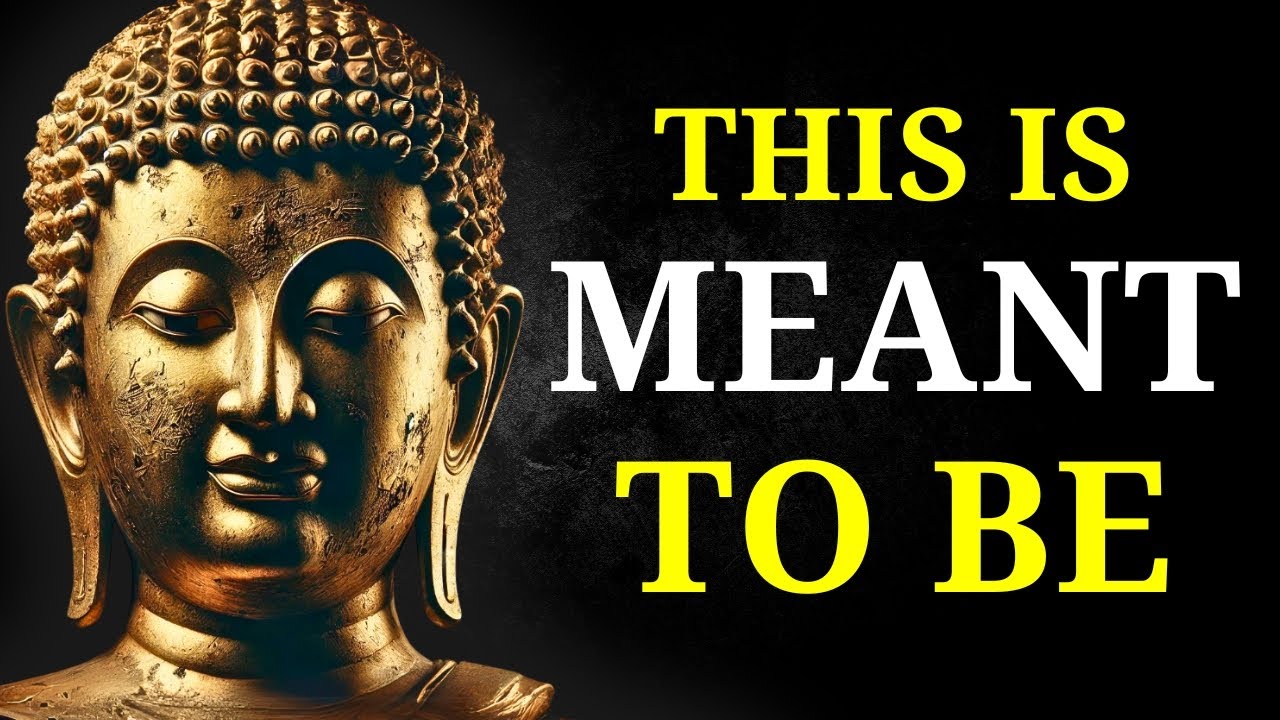(NO ADS) Fall Asleep to the Best Buddhist Wisdom on Why You Are Exactly Where You Need to Be