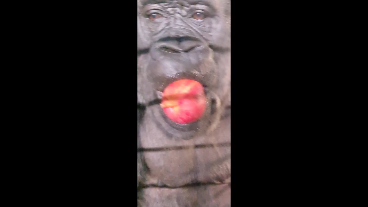 100% Gorilla Eating Compilation Part 4