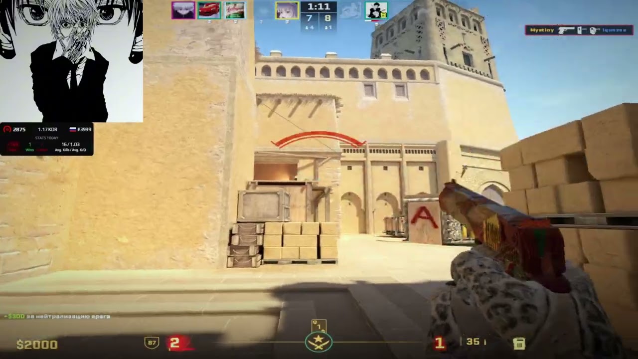 Faceit 3000Elo 10 lvl Highlights